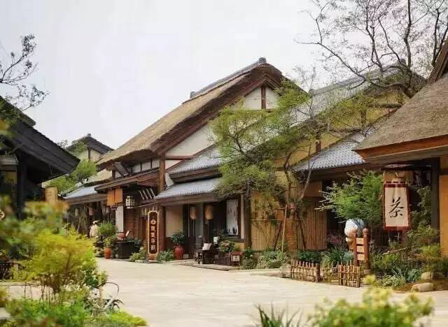 伟德体育 - 综合体育赛事平台|奥体中心相助同伴