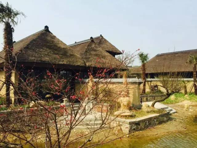 伟德体育 - 综合体育赛事平台|奥体中心相助同伴