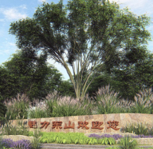 伟德体育 - 综合体育赛事平台|奥体中心相助同伴